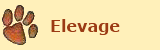 Elevage